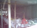 肯德基原料雞45天速成 不等發(fā)病即被屠宰